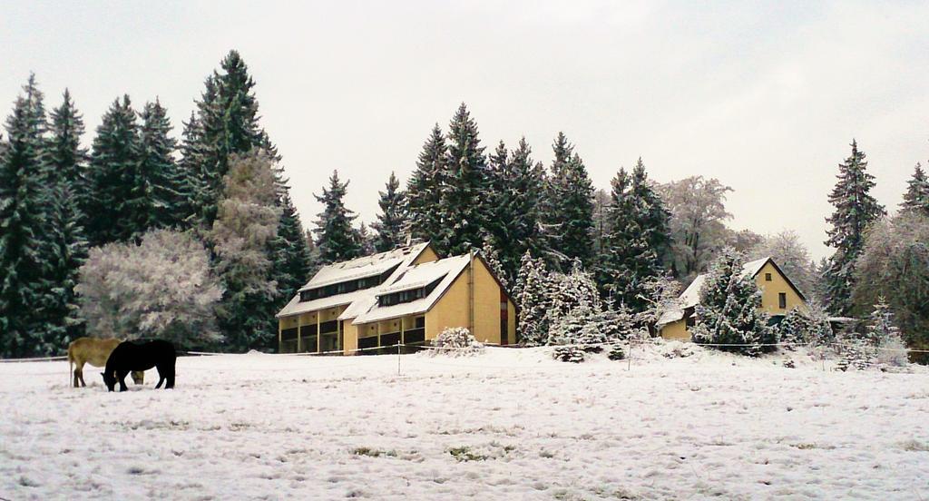 Waldhotel Zoebischhaus 바트라이볼드스그룬 외부 사진